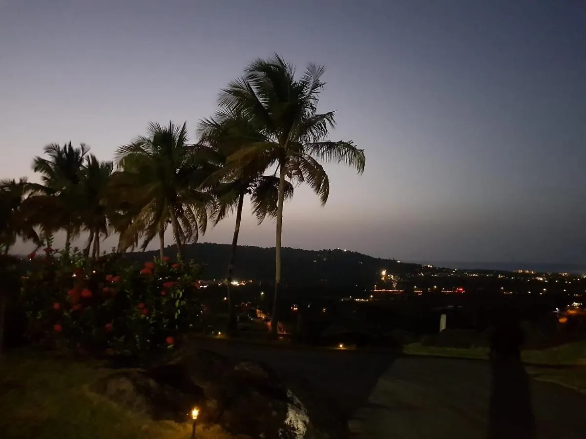 Rainforest And Ocean View Suites - Mountain Lodge Luquillo Hotel