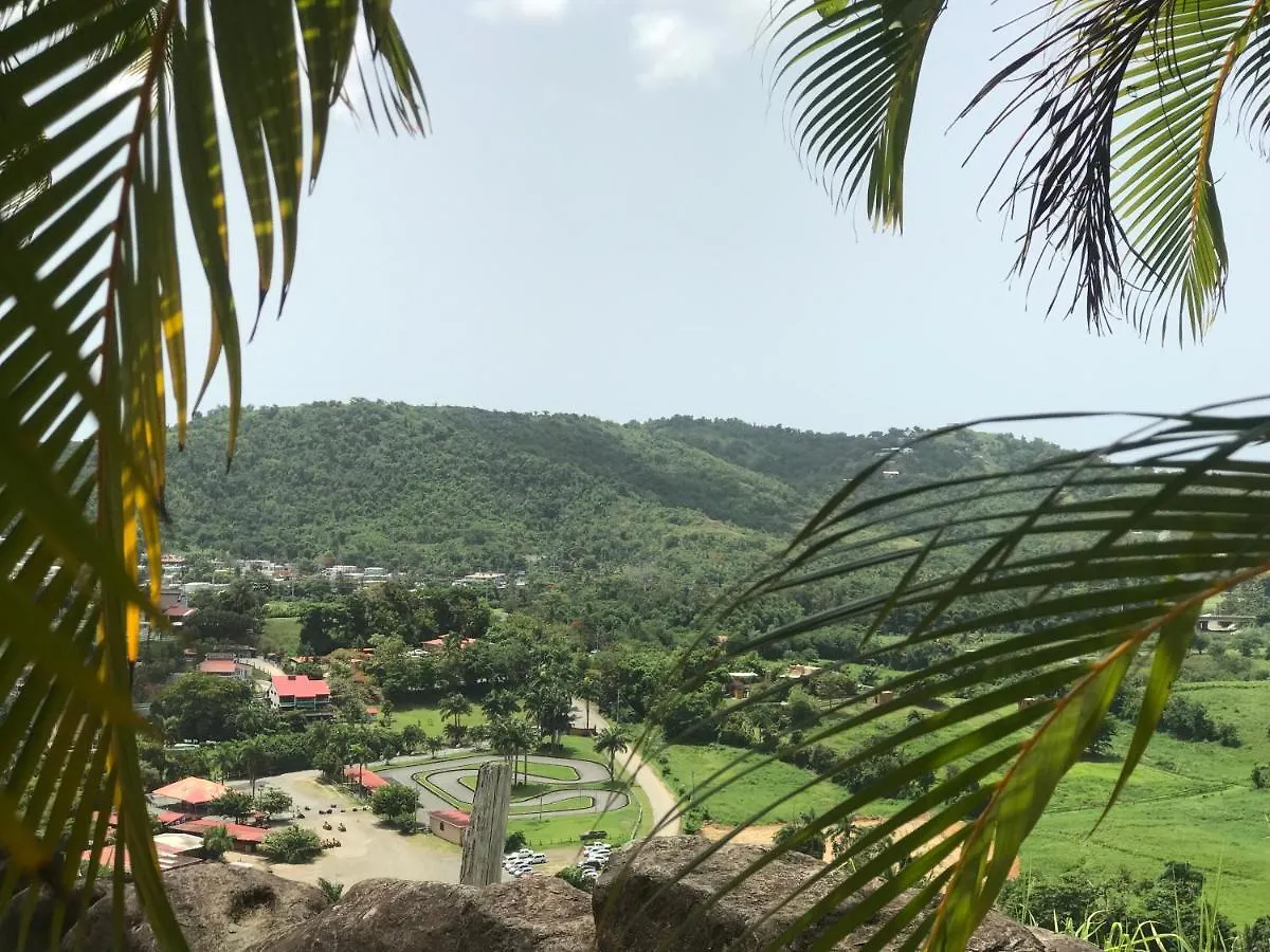 *** Hotel Rainforest And Ocean View Suites - Mountain Lodge Luquillo Puerto Rico