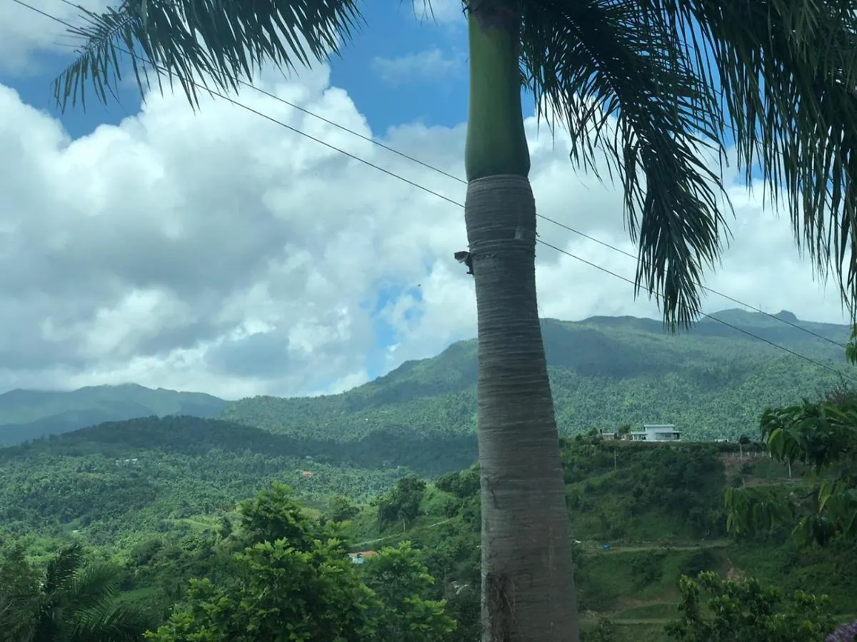 Rainforest And Ocean View Suites - Mountain Lodge Luquillo 3*,