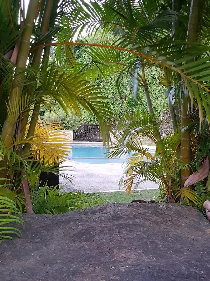 Rainforest And Ocean View Suites - Mountain Lodge Luquillo Hotel
